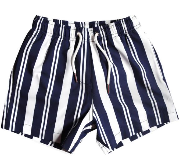 Navy Stripes Swim Shorts